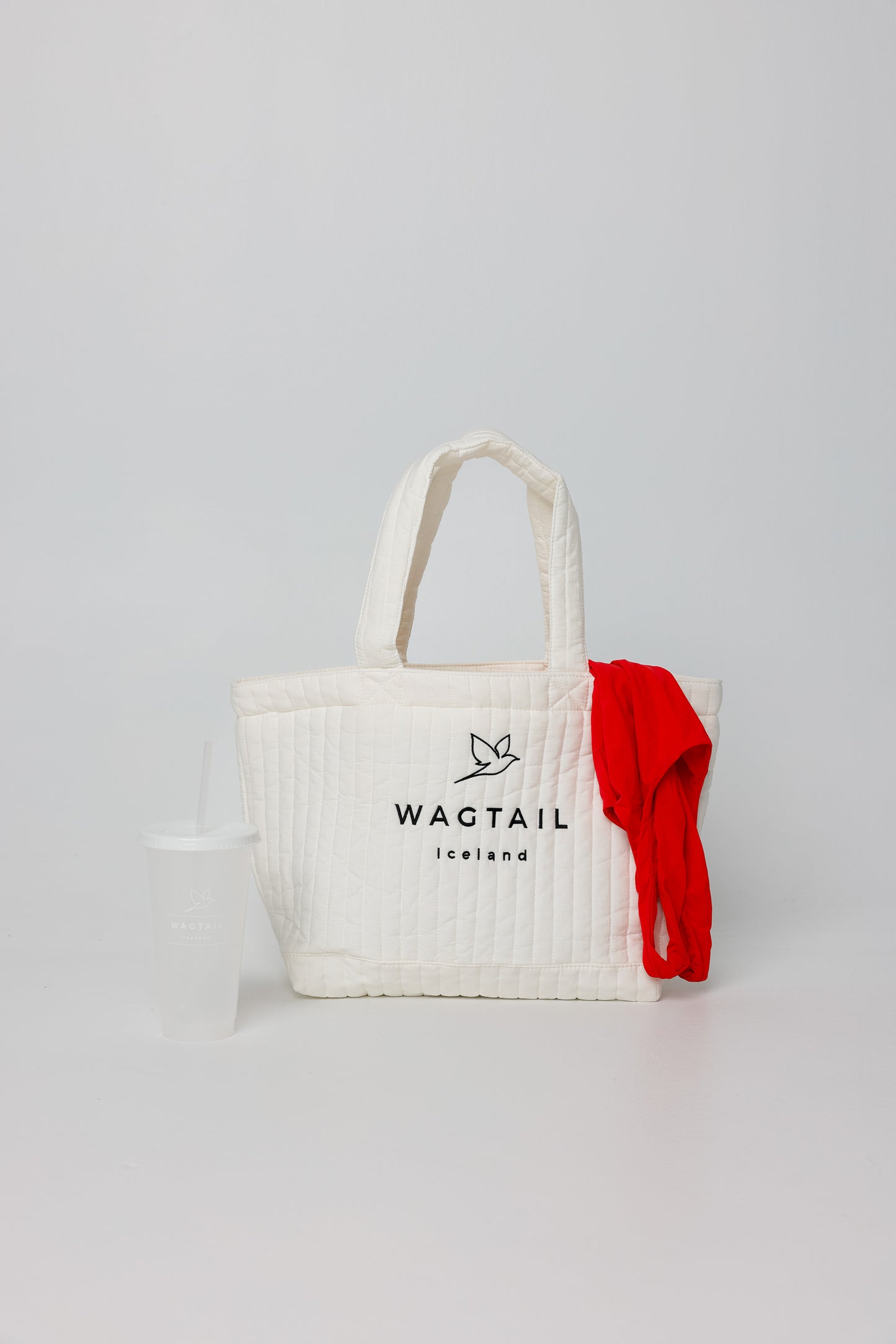 1011 - Beach Bag