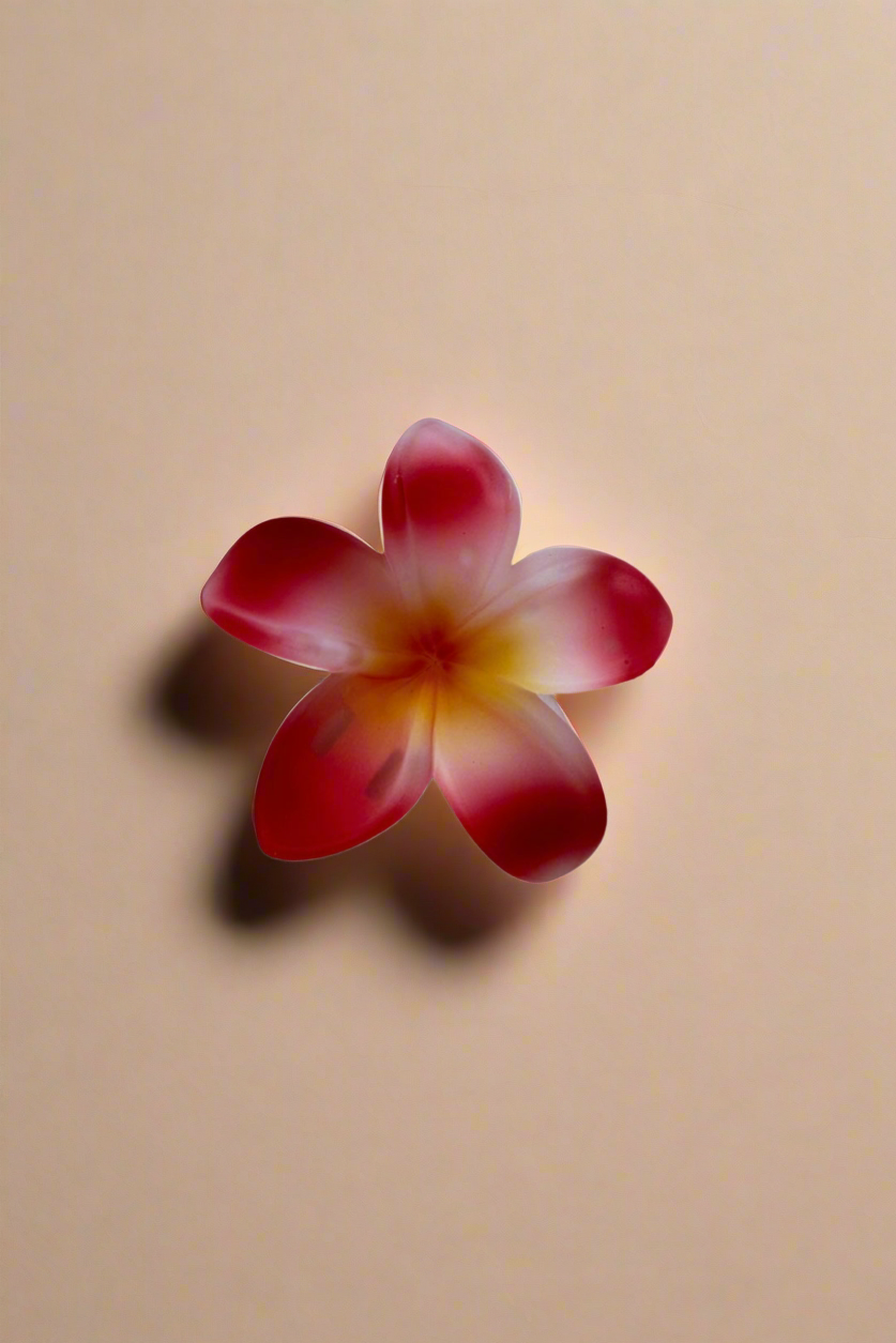 Flower clip - Red ombré