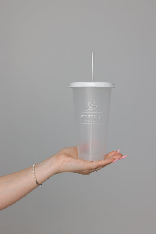 1012 - Cup with straw 700ml